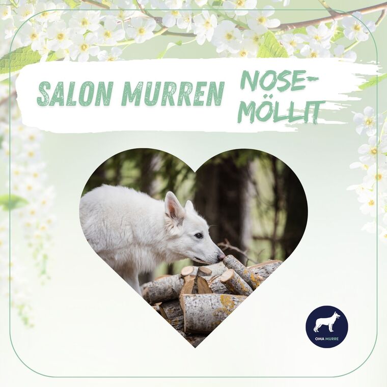Nosemöllit